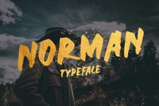 Norman: A Handwritten Font for Editorial Expression