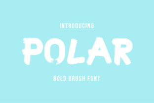 Polar: A Bold Display Font for Marketers