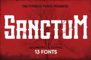 Sanctum Inky Collection Font