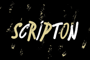 Scripton: A Bouncy Display Font