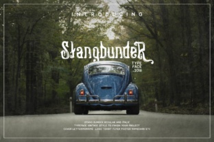 Stangbunder: A Vintage Display Font