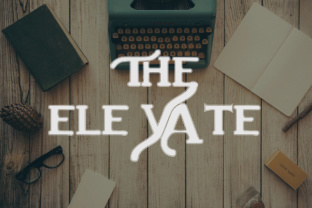 The Elevate: A Bold Font for Digital Design