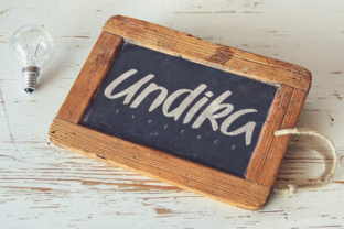 Undika: A Display Font That Makes Your Campaigns Instantly Recognizable